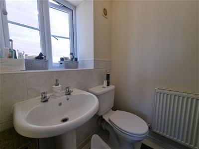 Picture 13